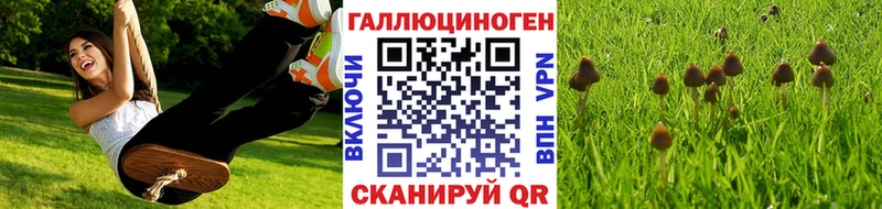 Псилоцибиновые грибы Cubensis Йошкар-Ола